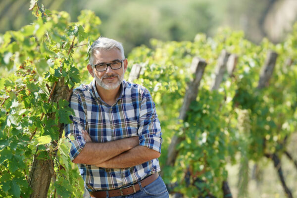 Winemaker,Standing,In,Vineyard vin vigneron