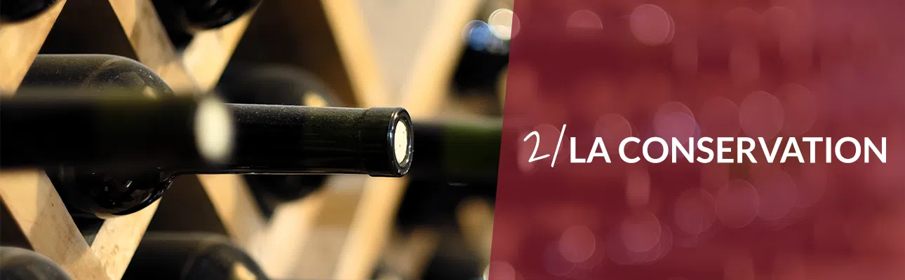 vins-section_02
