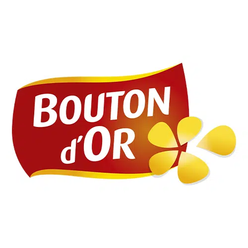 bouton-d'or bouton-d'or
