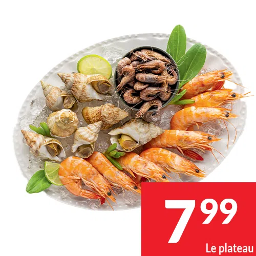 2025-S47_plateaux 04 FR